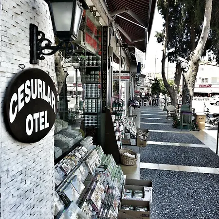 فندق مبيت وإفطار Cesurlar Çeşme